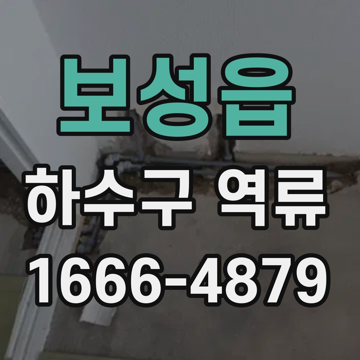 보성읍 하수구 역류
