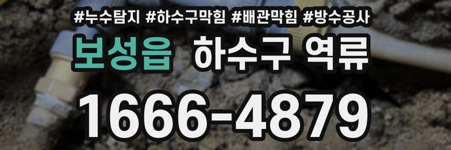 보성읍 하수구 역류