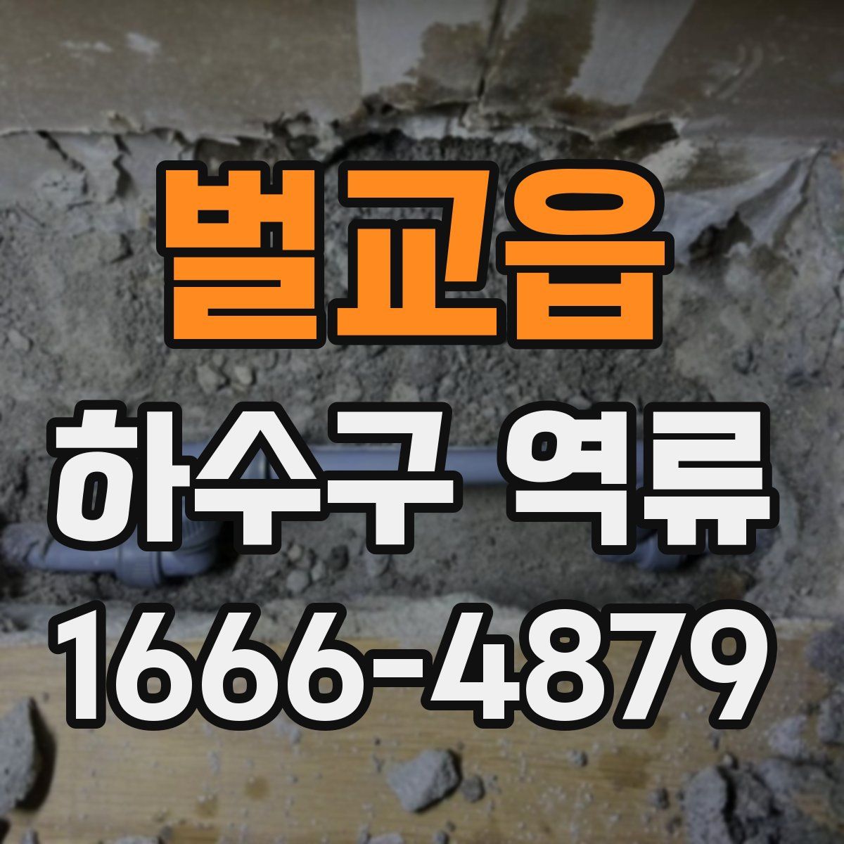 벌교읍 하수구 역류