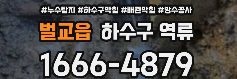 벌교읍 하수구 역류