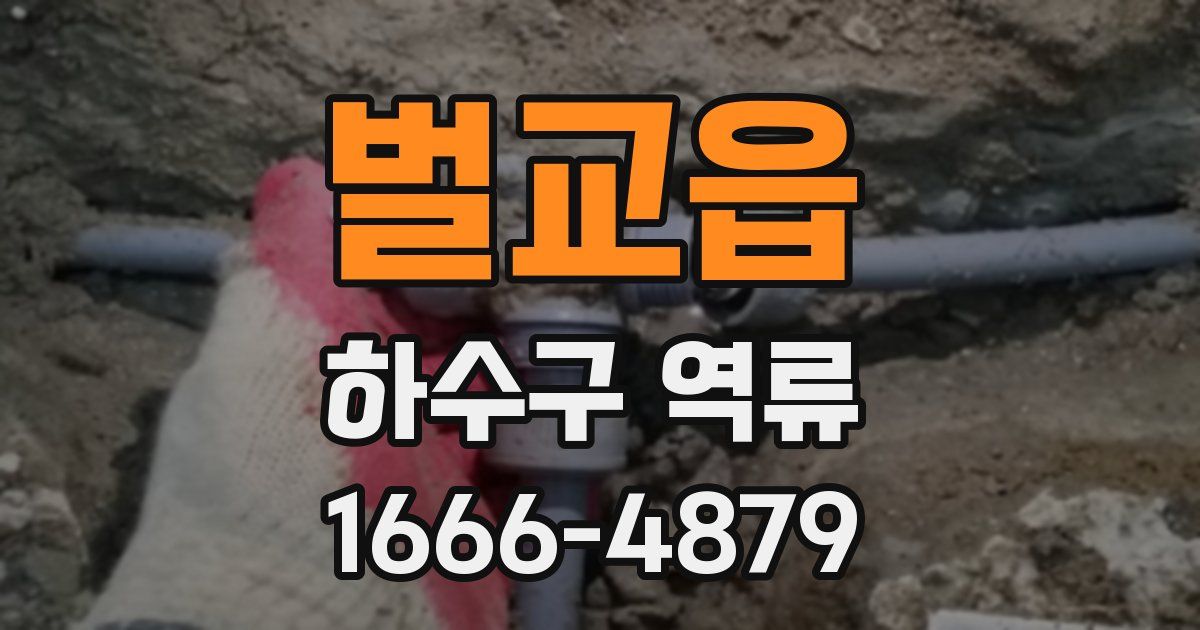벌교읍 하수구 역류