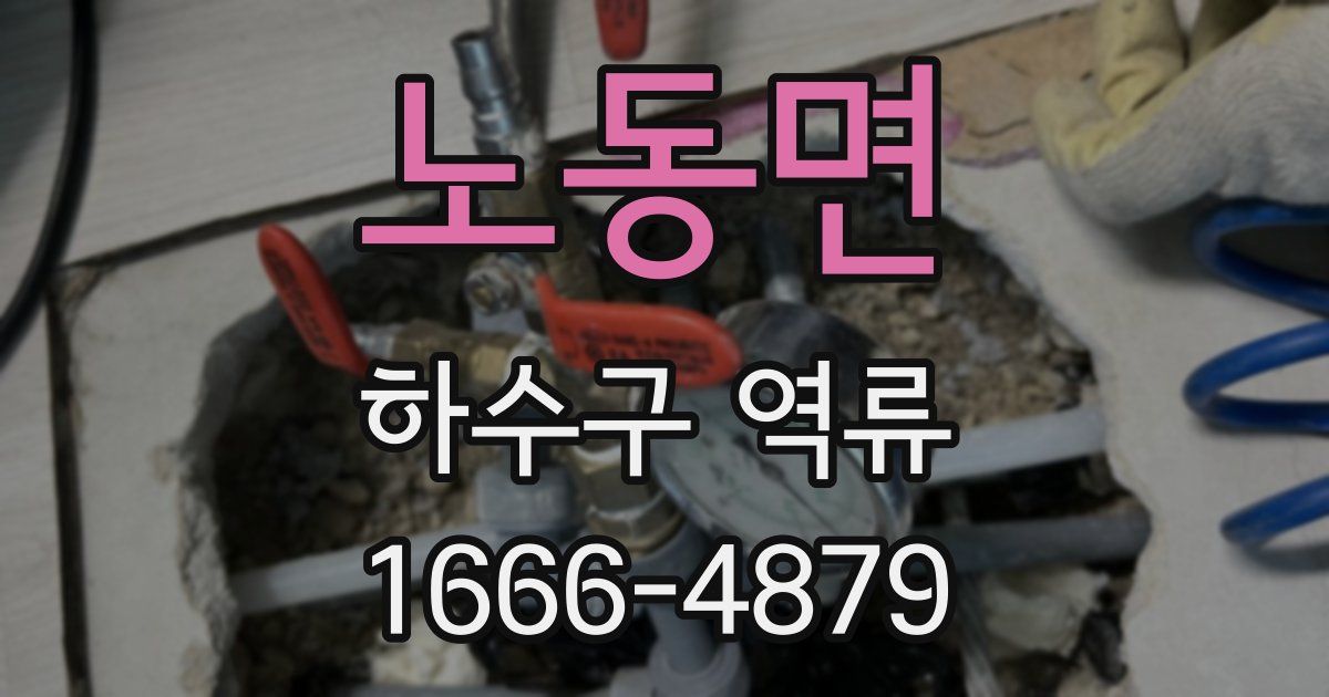 노동면 하수구 역류
