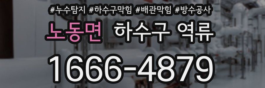 노동면 하수구 역류