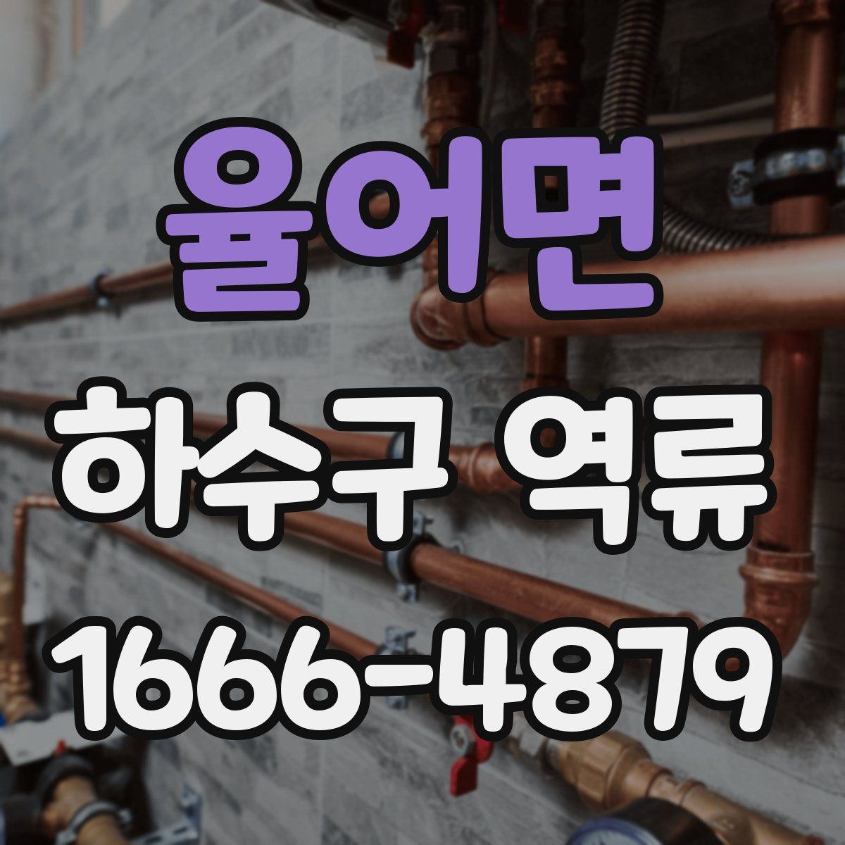 율어면 하수구 역류