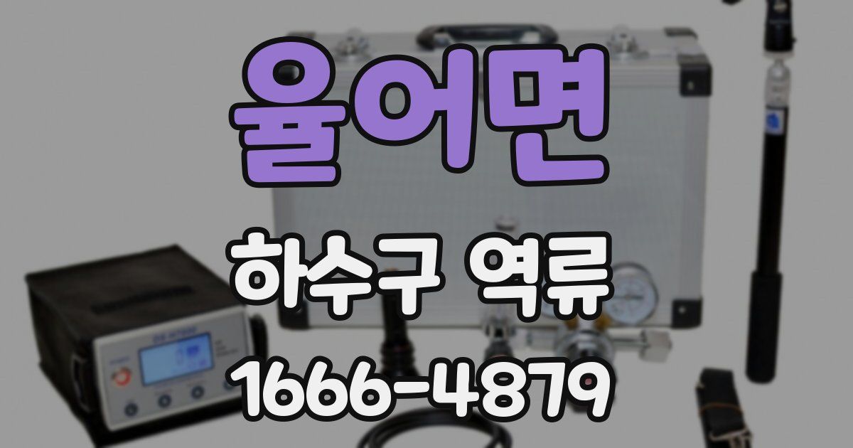 율어면 하수구 역류