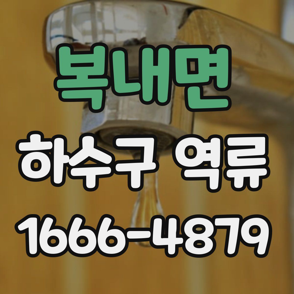 복내면 하수구 역류