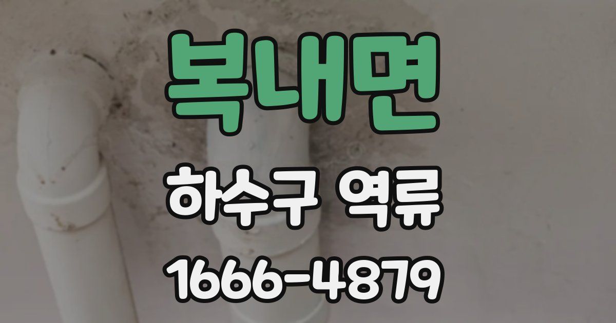 복내면 하수구 역류