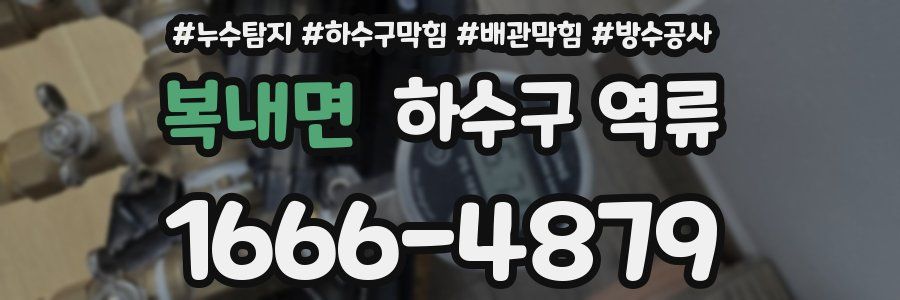 복내면 하수구 역류