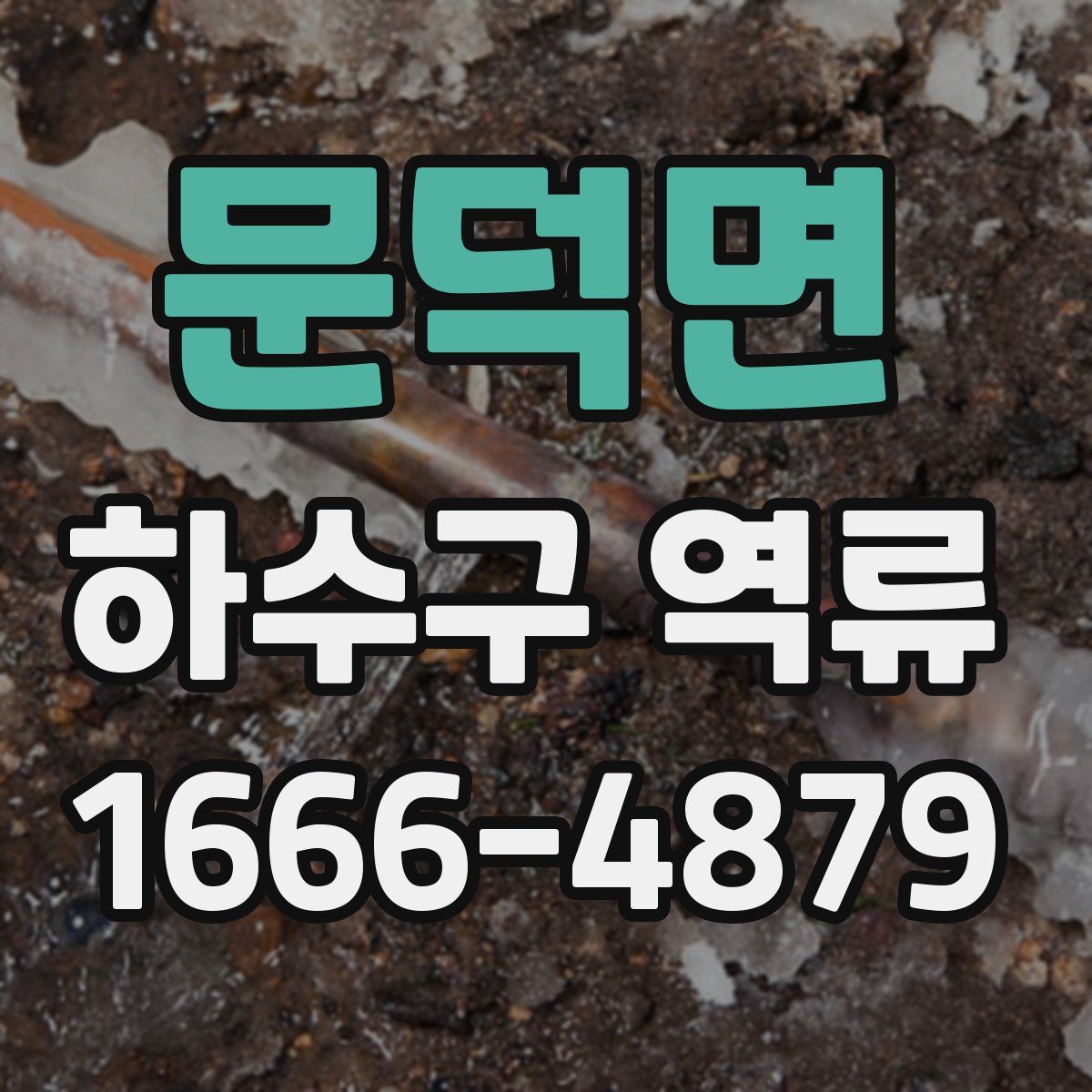 문덕면 하수구 역류