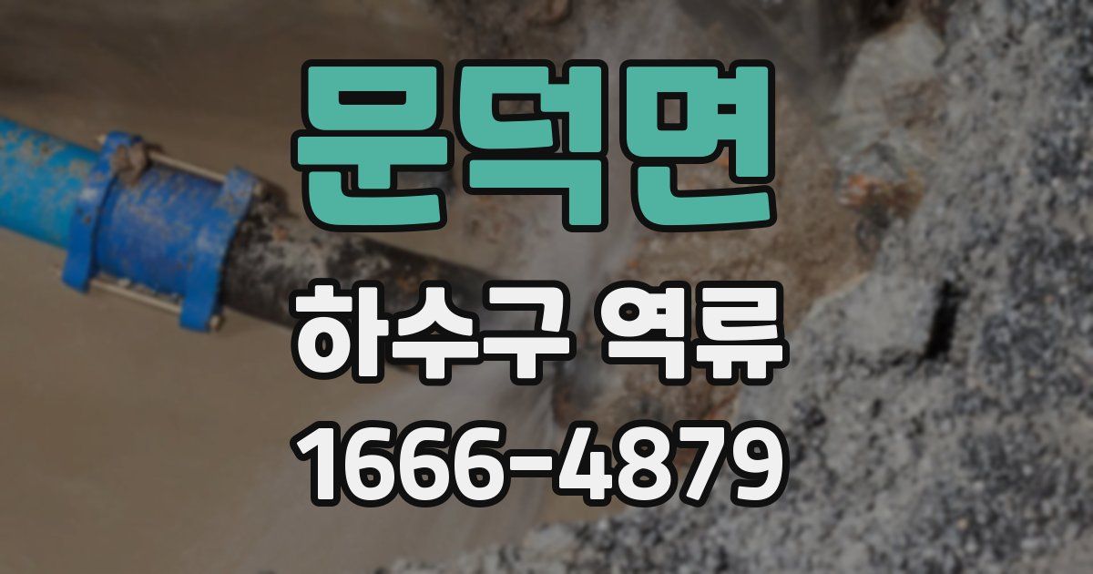 문덕면 하수구 역류