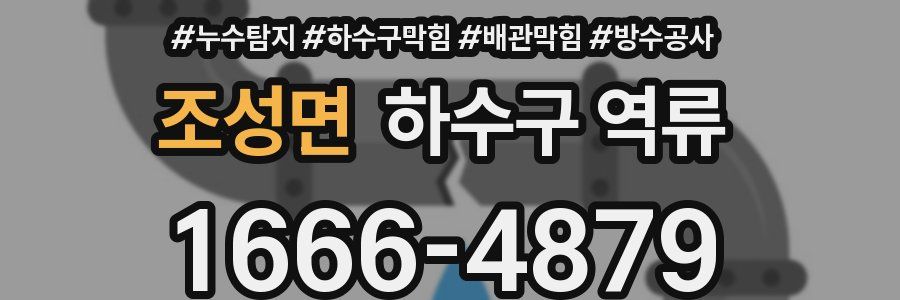 조성면 하수구 역류