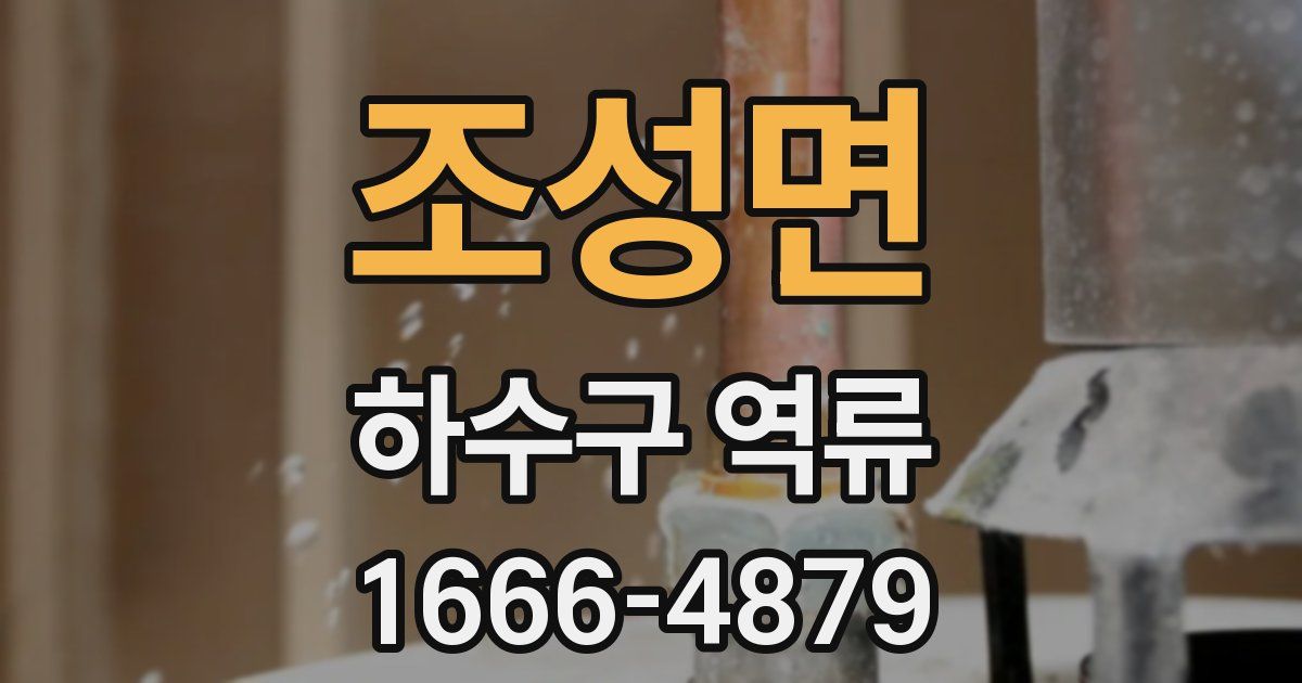 조성면 하수구 역류