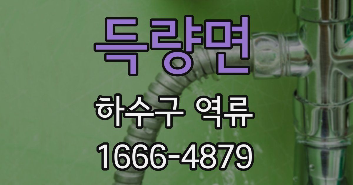 득량면 하수구 역류