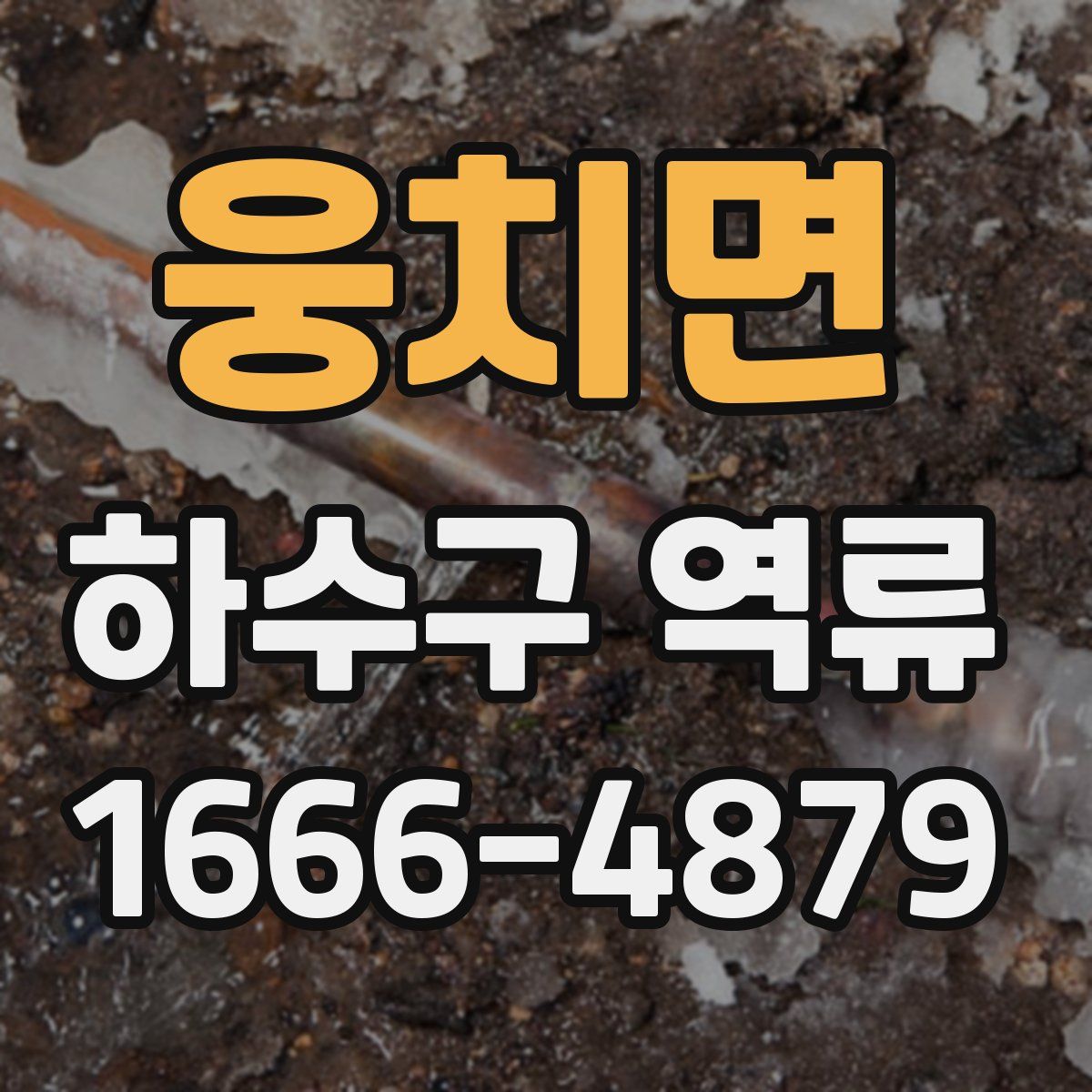 웅치면 하수구 역류