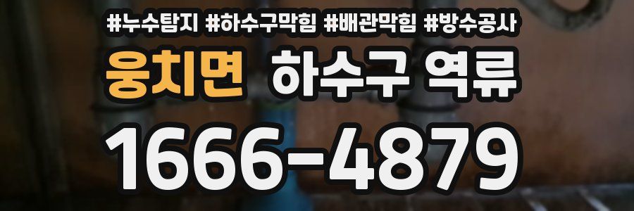 웅치면 하수구 역류