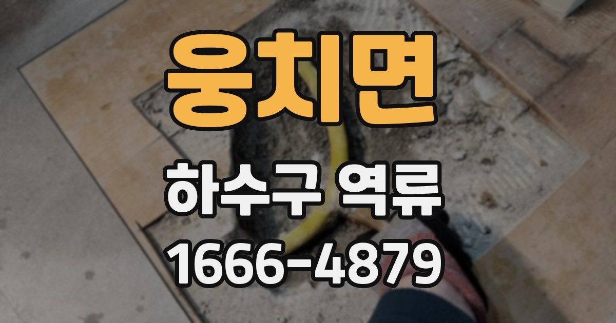 웅치면 하수구 역류