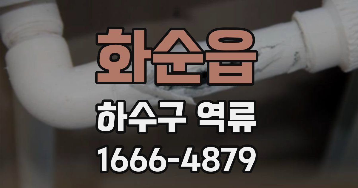 화순읍 하수구 역류