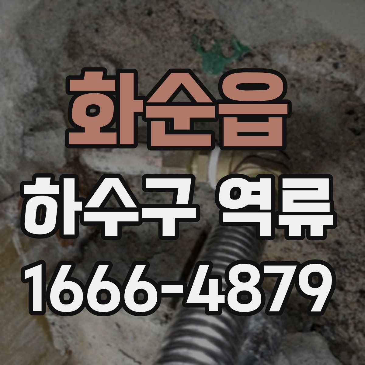 화순읍 하수구 역류