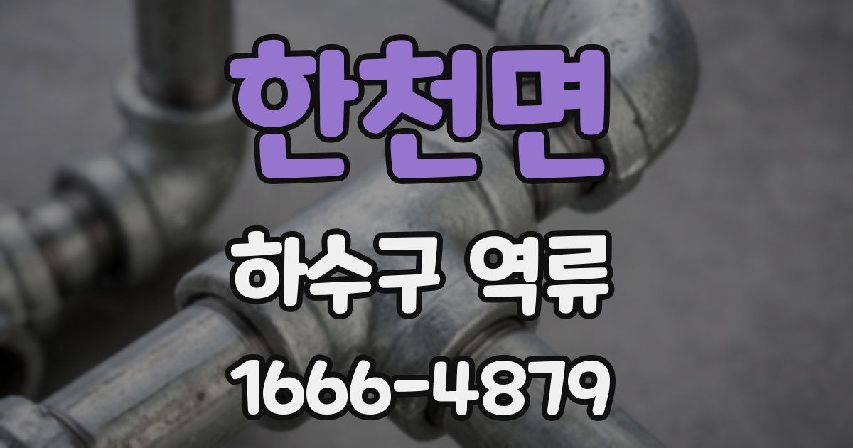 한천면 하수구 역류