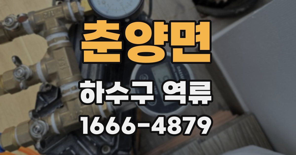 춘양면 하수구 역류