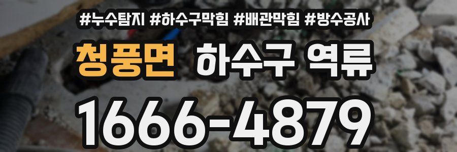 청풍면 하수구 역류