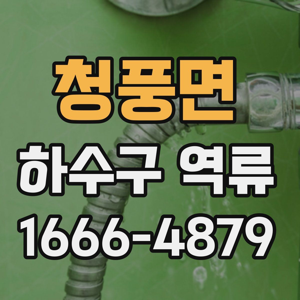 청풍면 하수구 역류