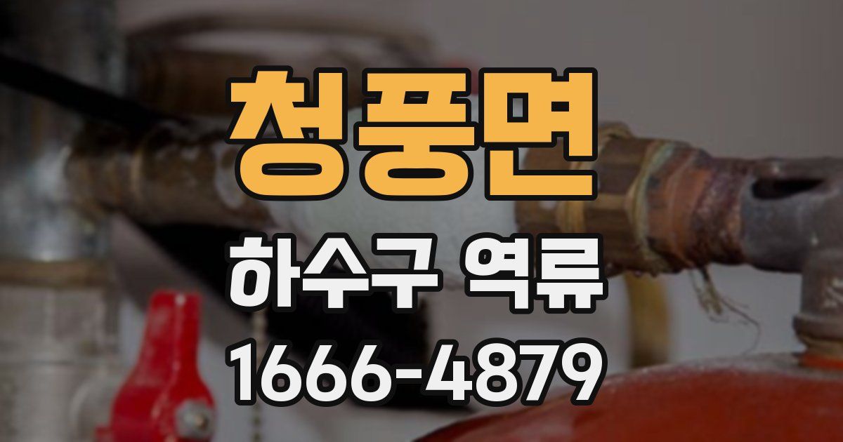 청풍면 하수구 역류