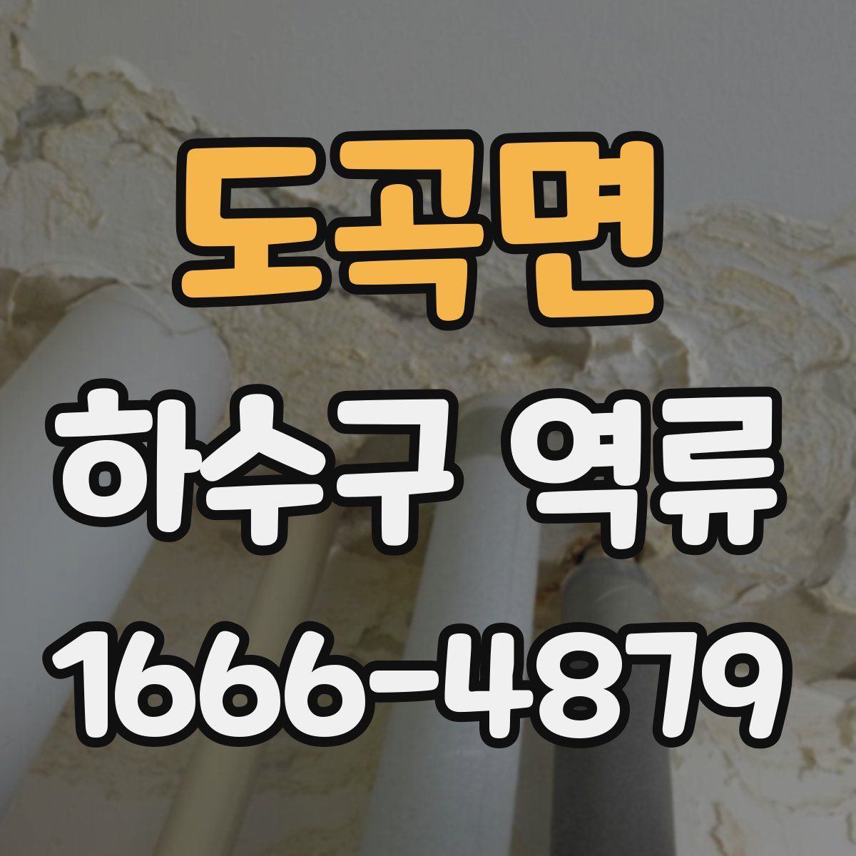 도곡면 하수구 역류