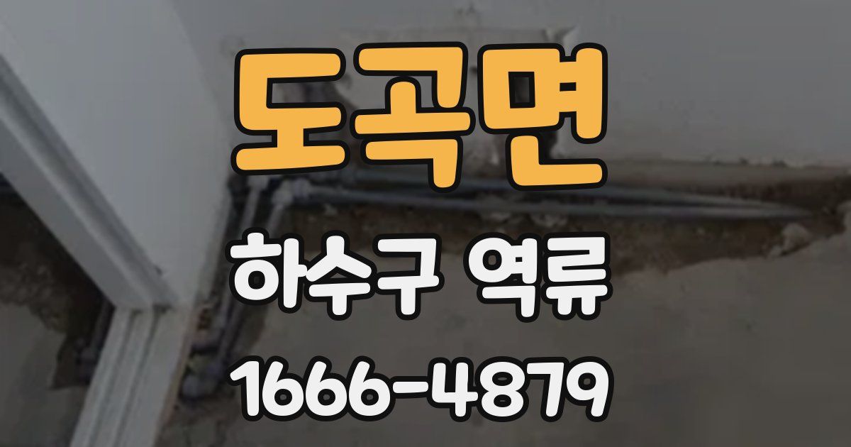 도곡면 하수구 역류