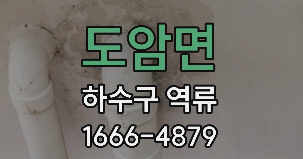 도암면 하수구 역류