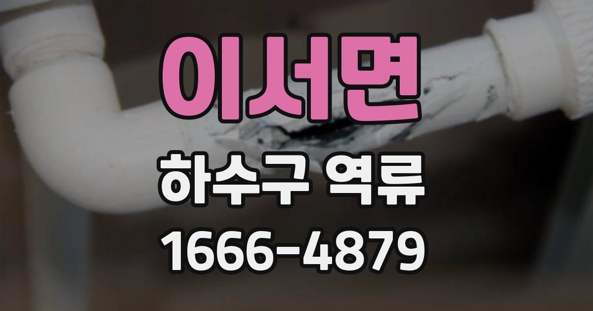 이서면 하수구 역류