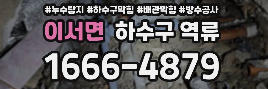 이서면 하수구 역류