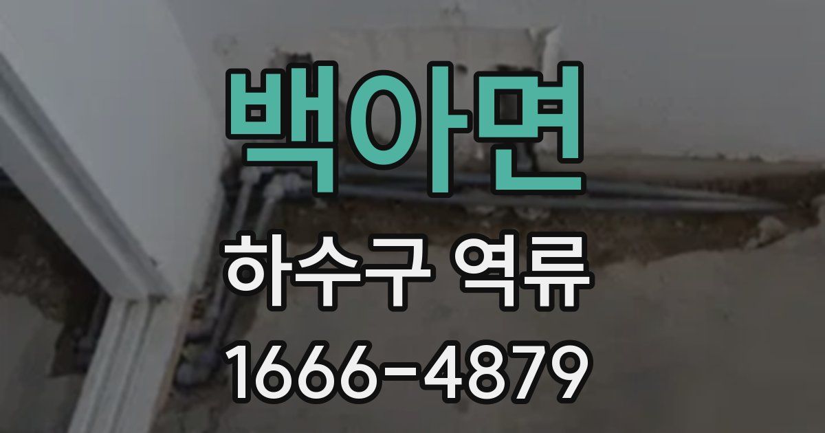 백아면 하수구 역류
