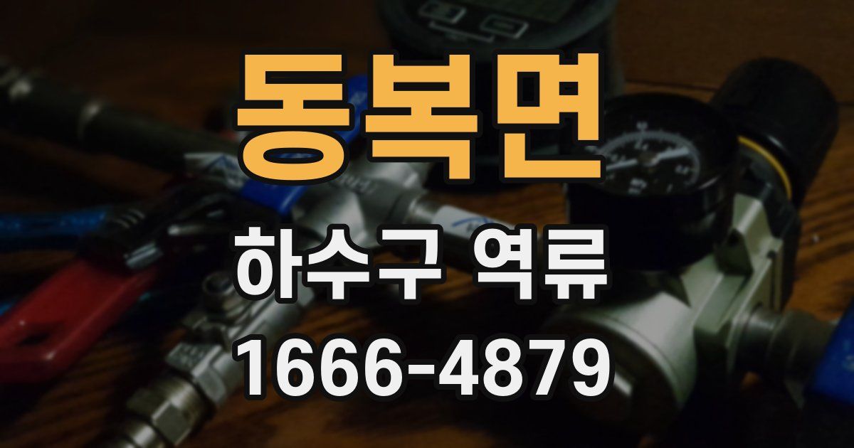 동복면 하수구 역류