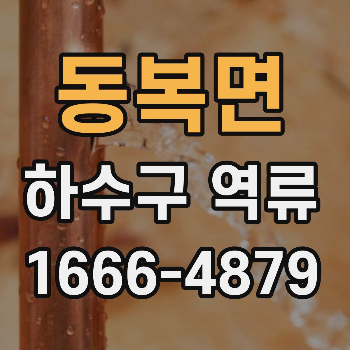 동복면 하수구 역류