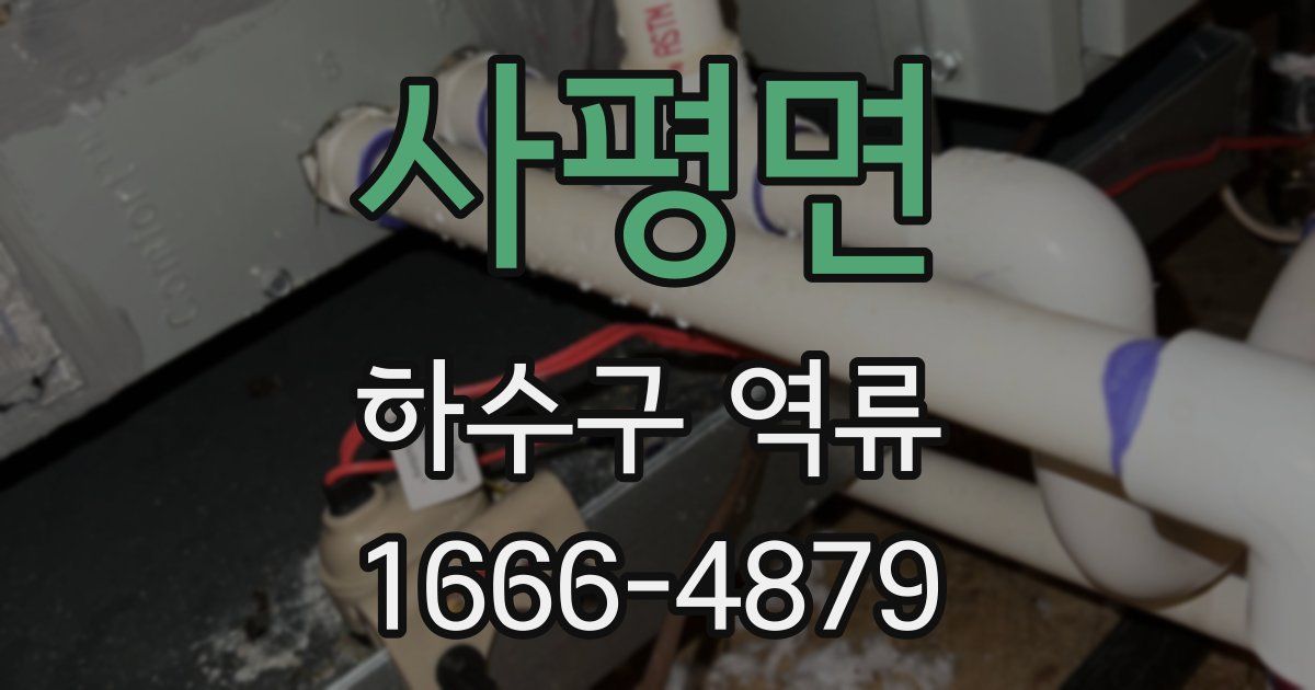 사평면 하수구 역류