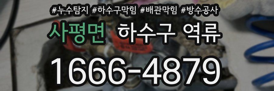 사평면 하수구 역류