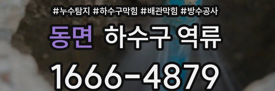 동면 하수구 역류