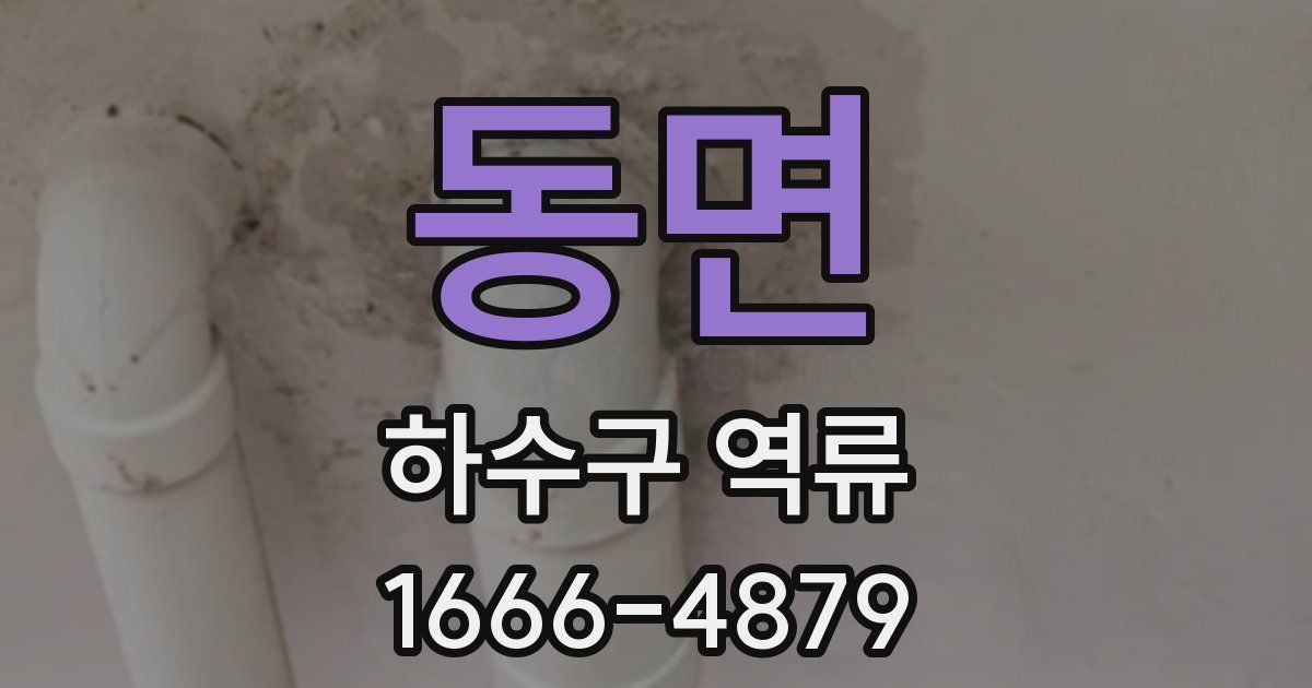 동면 하수구 역류