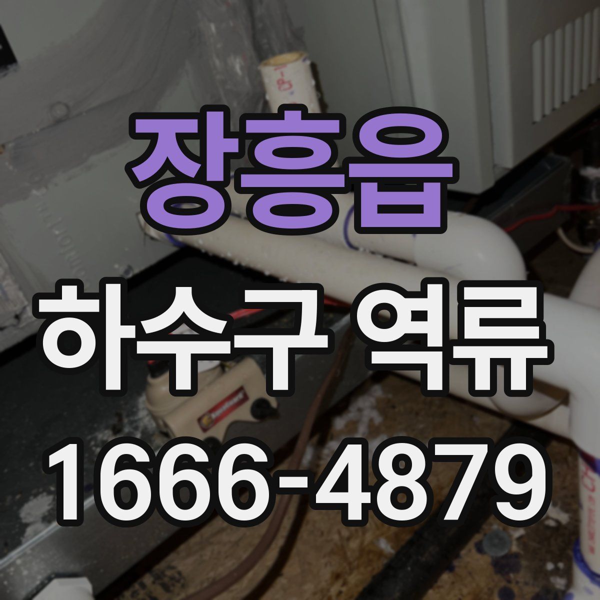 장흥읍 하수구 역류