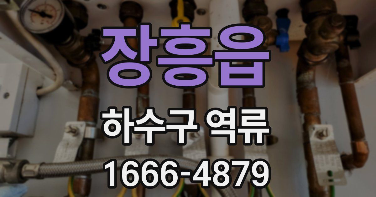 장흥읍 하수구 역류