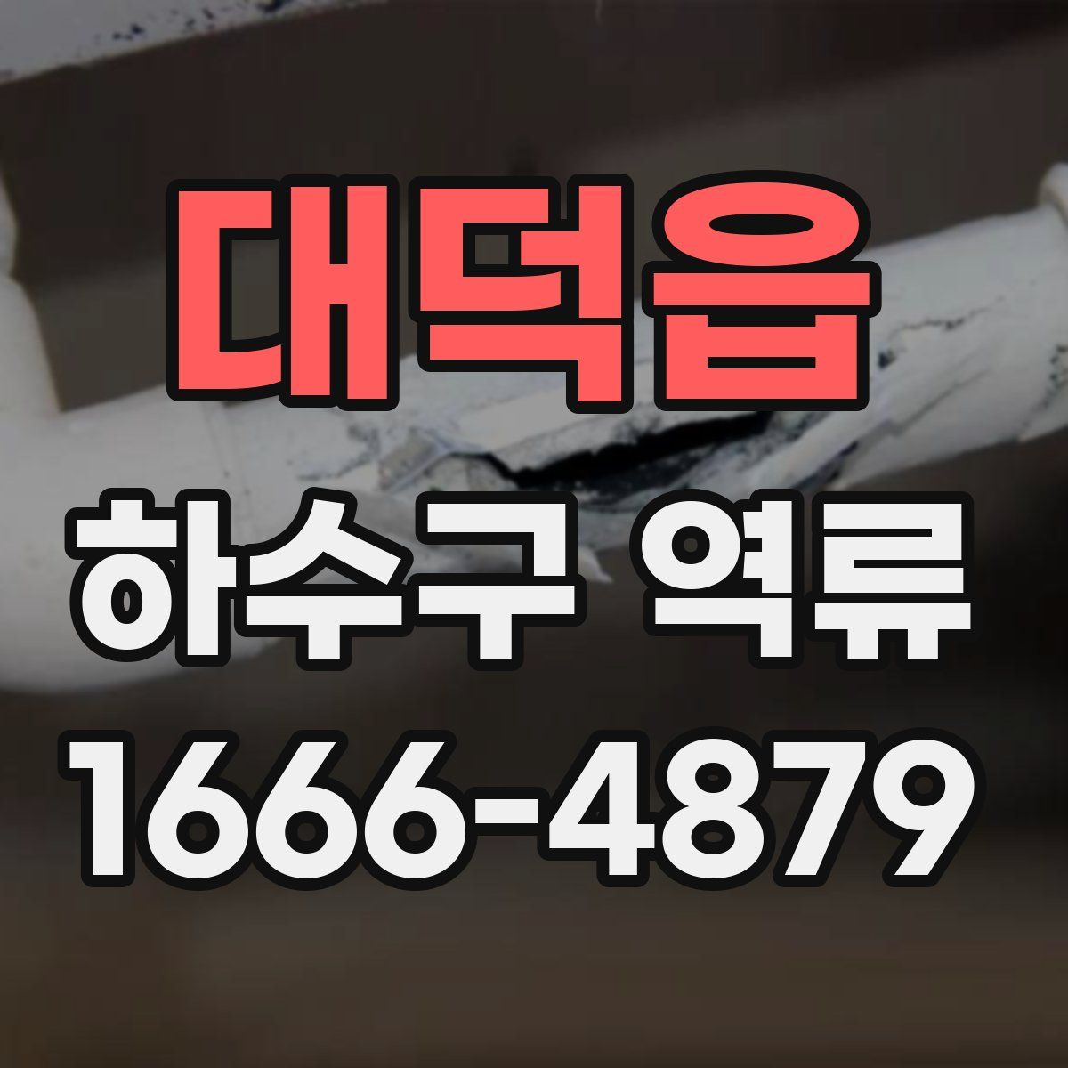 대덕읍 하수구 역류