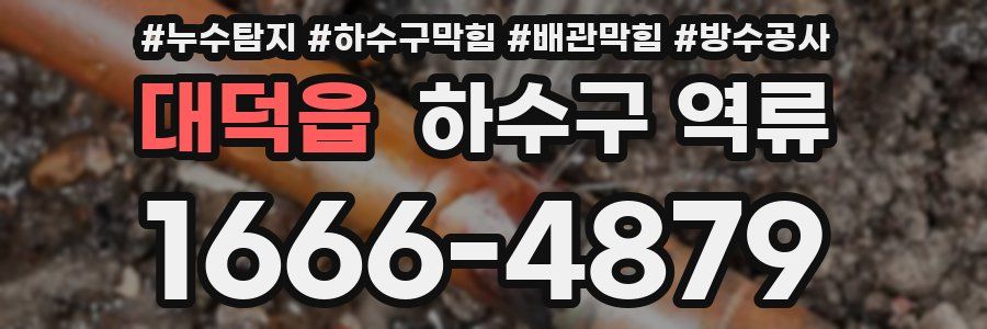 대덕읍 하수구 역류