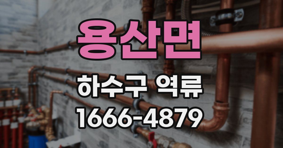 용산면 하수구 역류