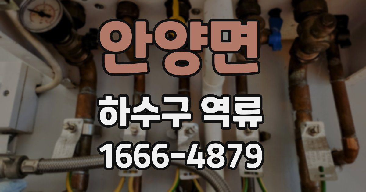 안양면 하수구 역류