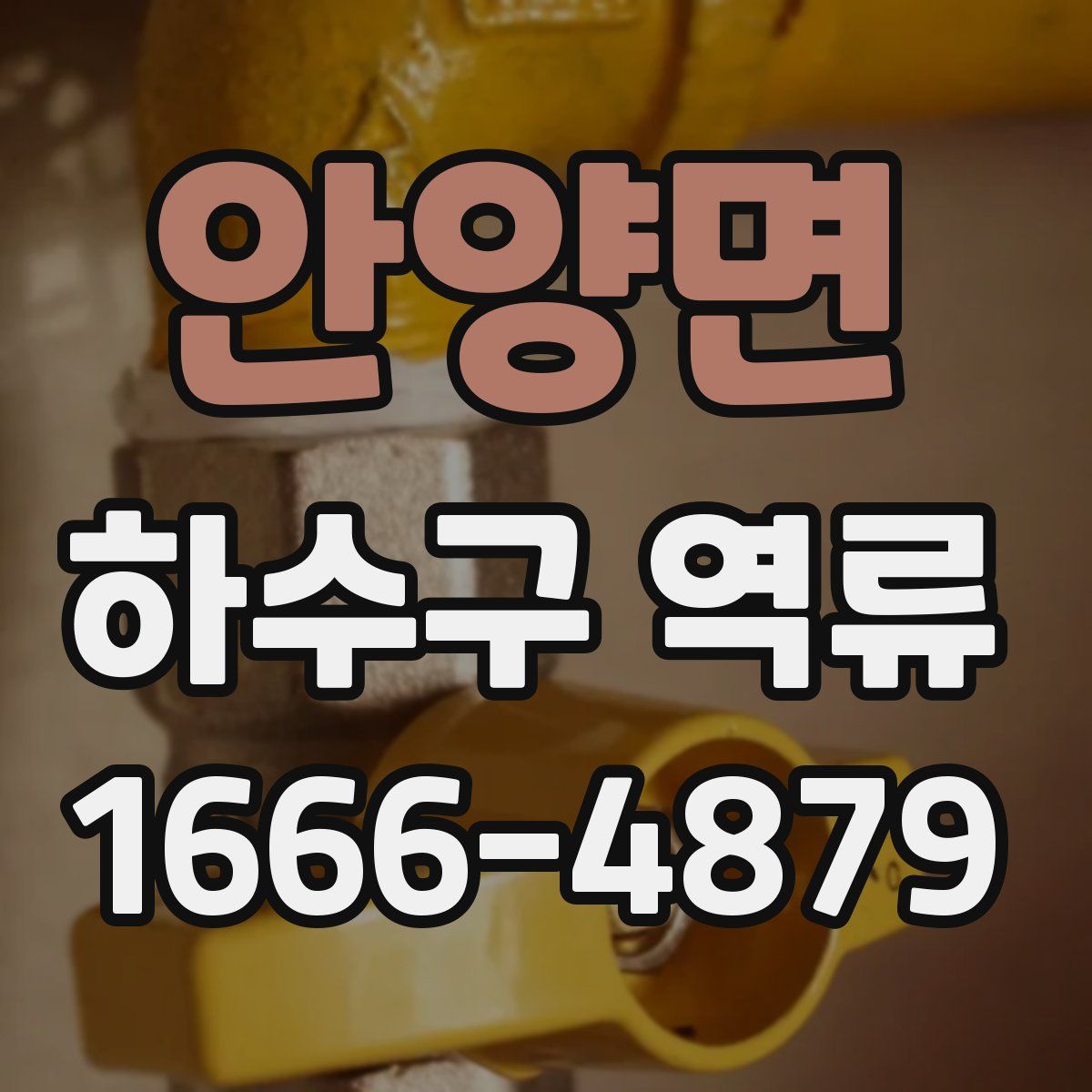 안양면 하수구 역류