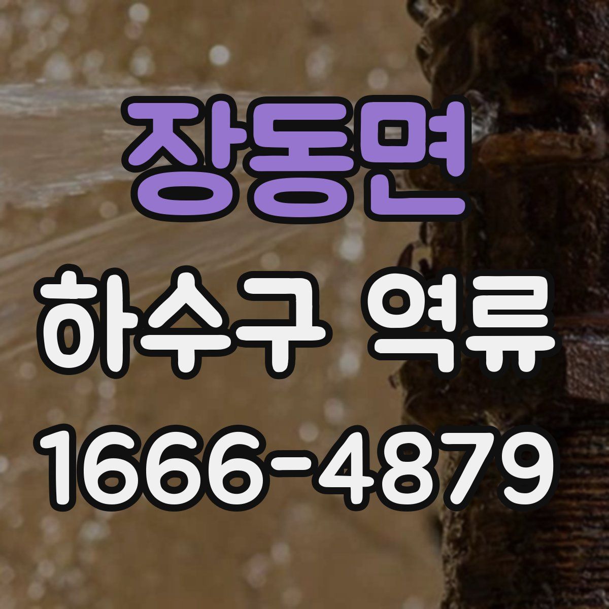 장동면 하수구 역류