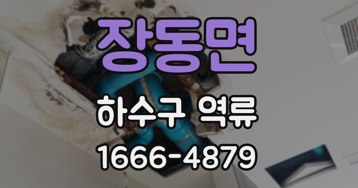 장동면 하수구 역류