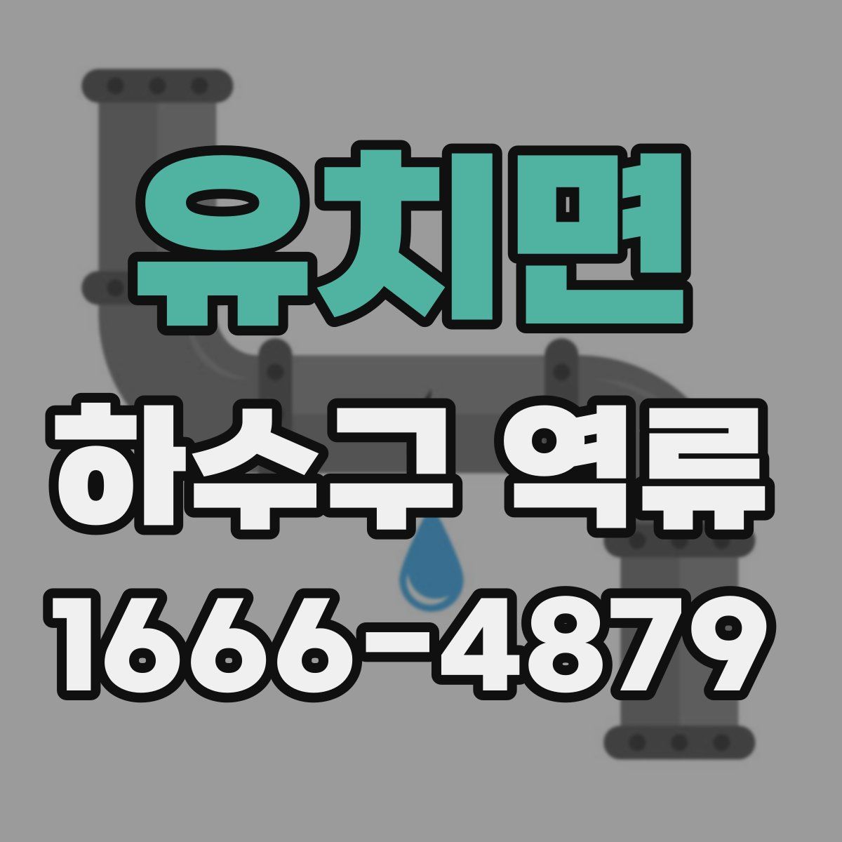 유치면 하수구 역류