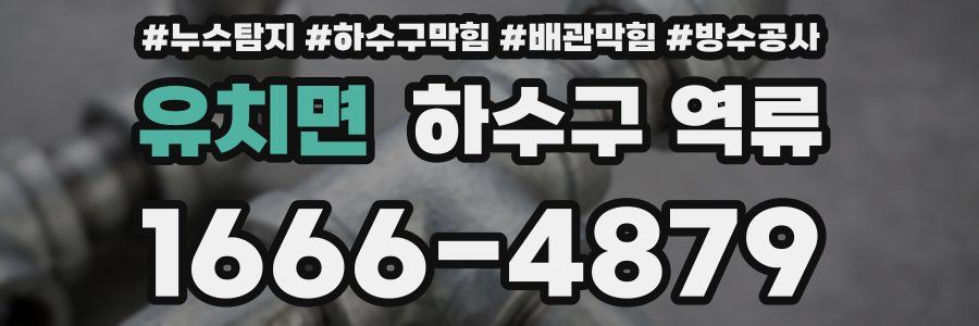 유치면 하수구 역류